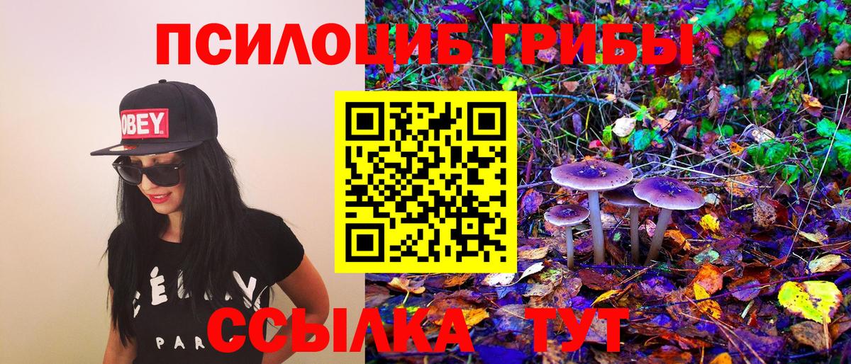 Псилоцибиновые грибы прущие грибы Богородск